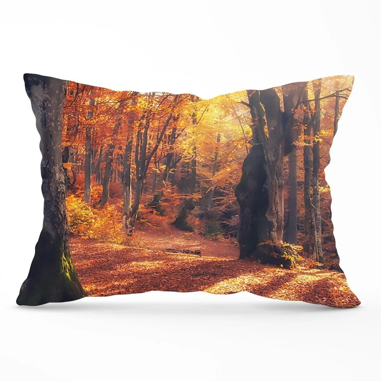 Warren Reed - Designer Autumn Forest Cushions in Brown