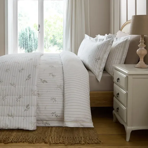 Dorma Abbotsford 100% Cotton Sateen Duvet Cover & Pillowcase Set 5