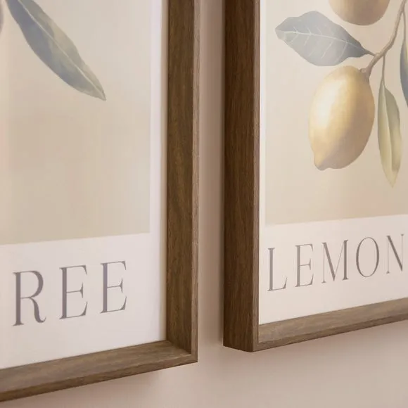 Set Of 2 Olive & Lemon Tree Framed Prints 2