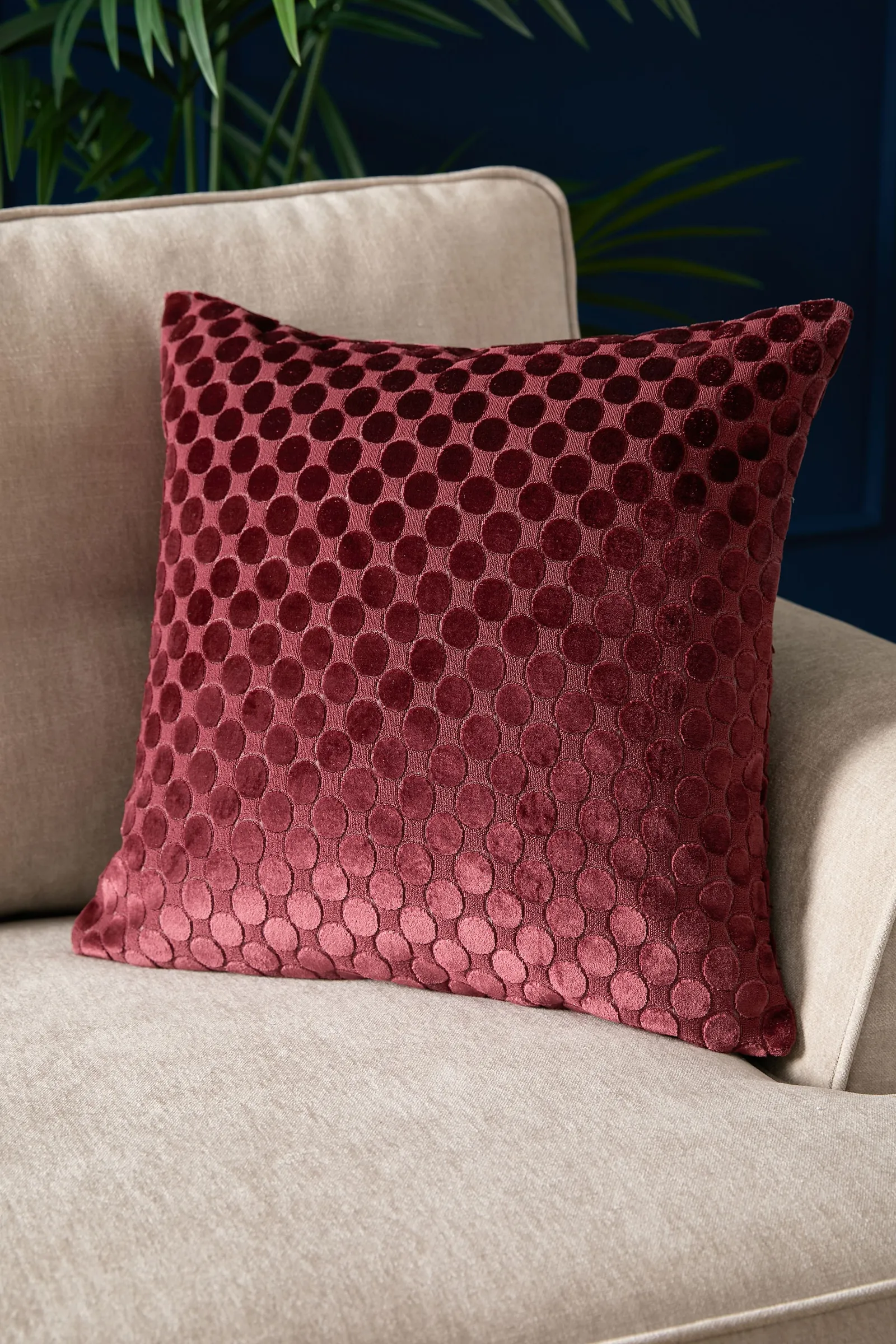 Soiree 'Velvet Spot' Plain Dyed Jacquard Velvet Filled Cushion in Burgundy