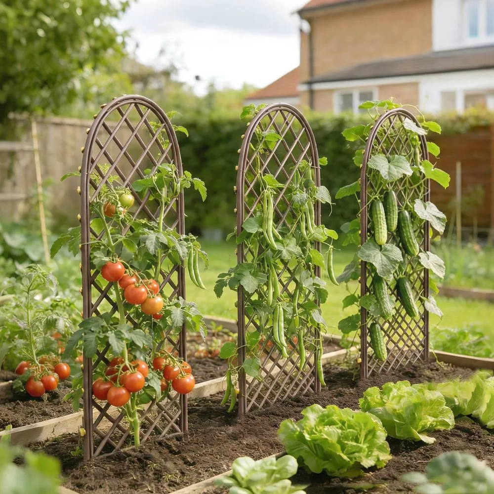 OUTSUNNY Garden Trellis, Decorative Trellis Panels with Dome Top, Natural