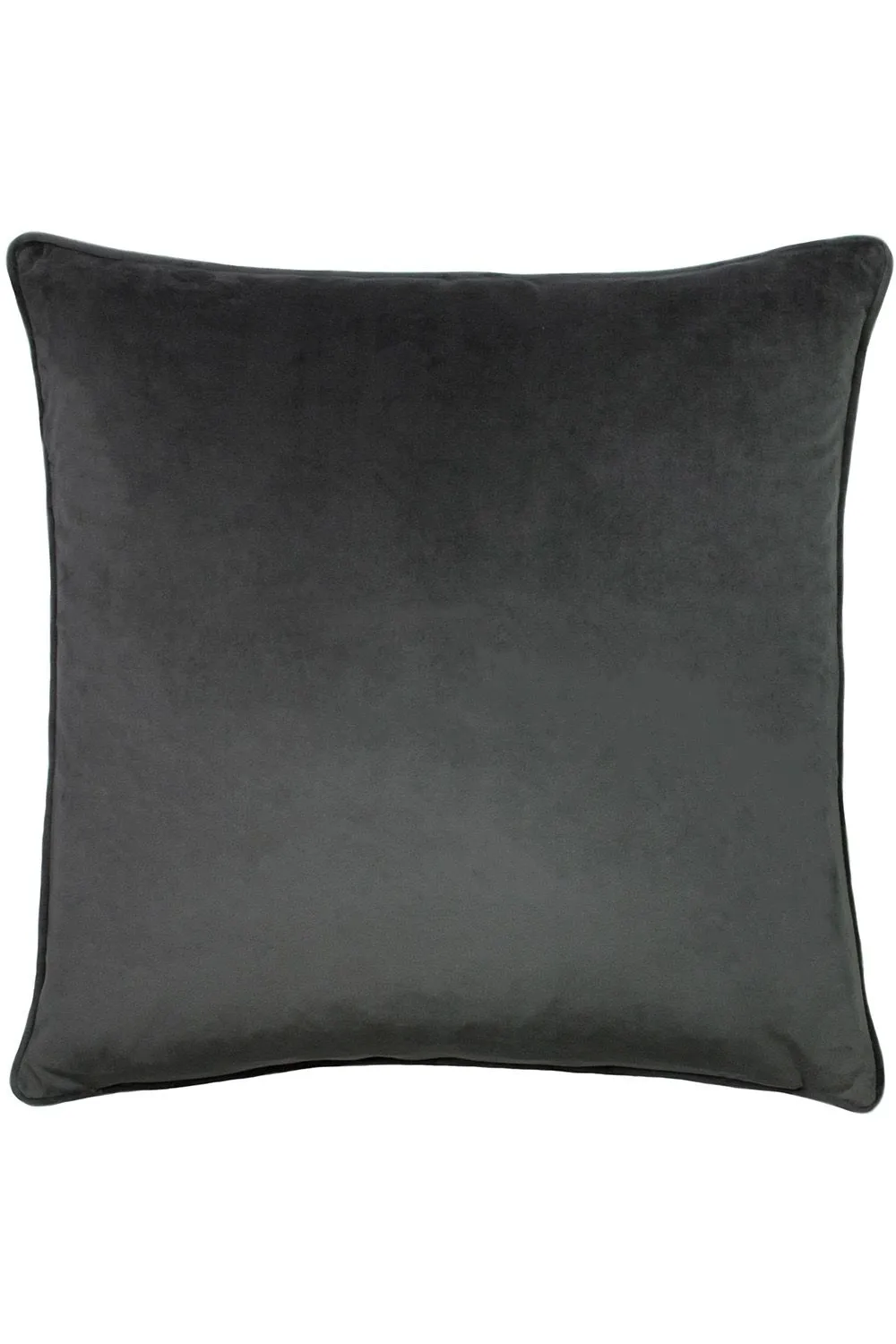 Paoletti Hortus Embroidered Bee Soft Velvet Pipe Trimmed Cushion in Charcoal 2