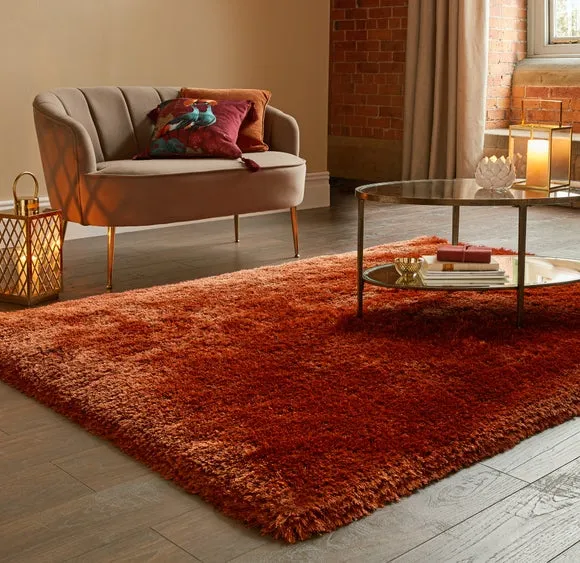 Jewel Shaggy Rug 1