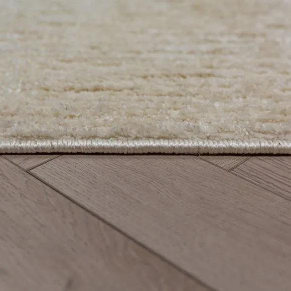 Fionn Textured Rug 4