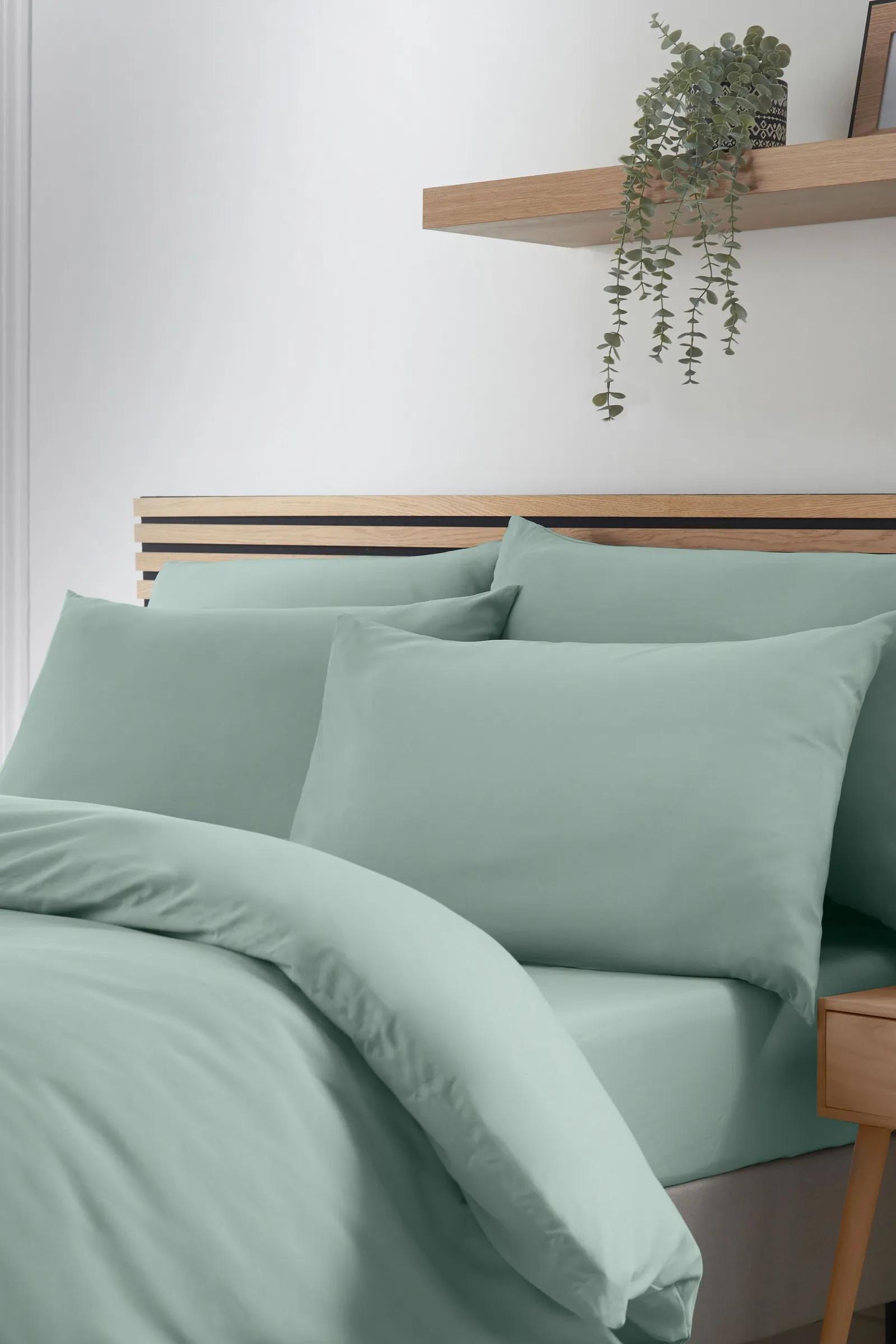 Catherine Lansfield So Soft Non Iron Standard Pillowcase Pack of 4 in Green 1