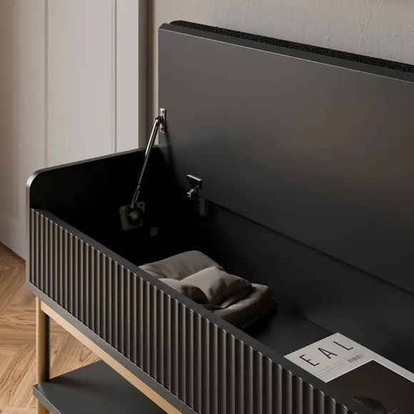 Georgi Storage Bench 3