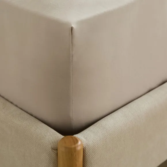 Cotton Rich Fitted Sheet 2