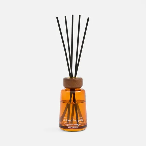 Autumn Pumpkin Diffuser 3