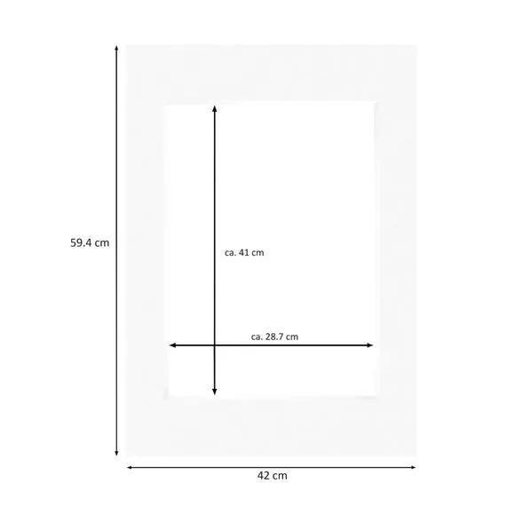 Nielsen Conservation White Picture Mount 2