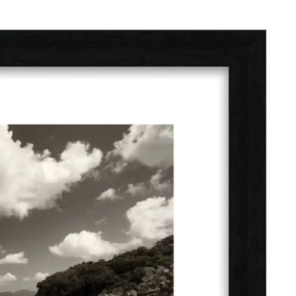 The Art Group Still Growing To The Sun Framed Print 3