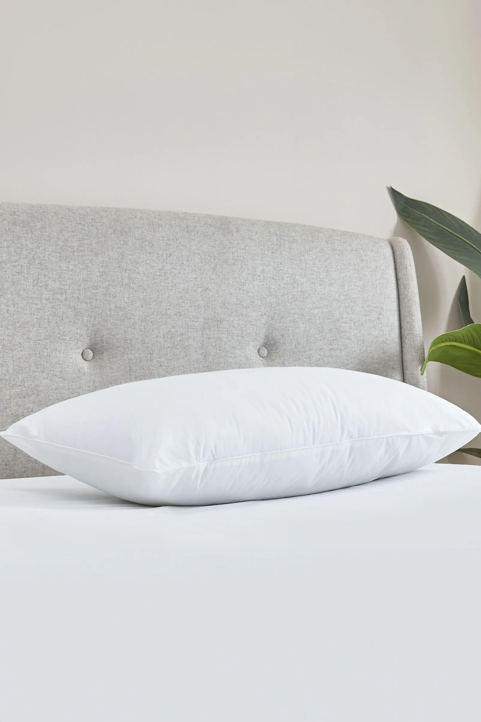 Catherine Lansfield 'Cotton Spring' Pillow in White 2