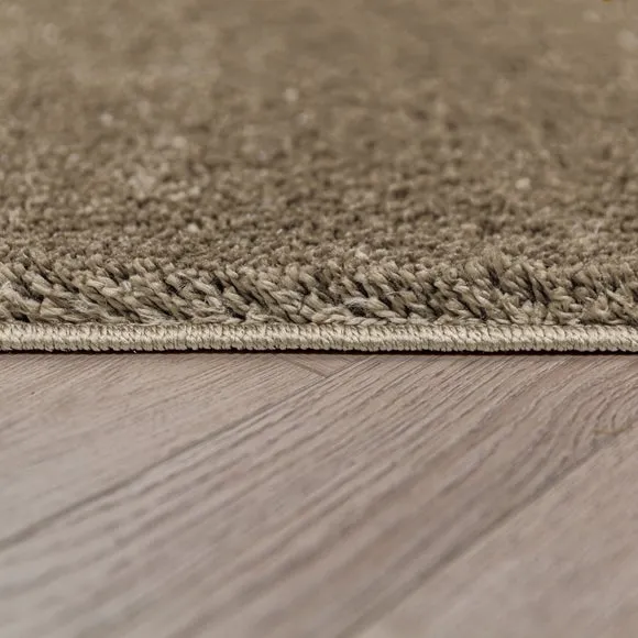 Sheen Shaggy Rug 4