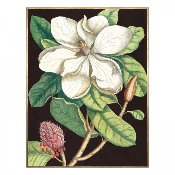 Cedar & Sage Laurel Tree Framed Canvas 4