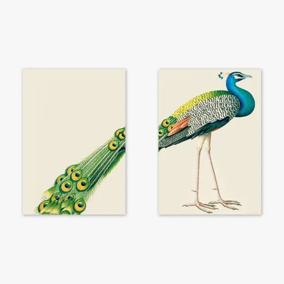 East End Prints Set of 2 Peacock Prints 2