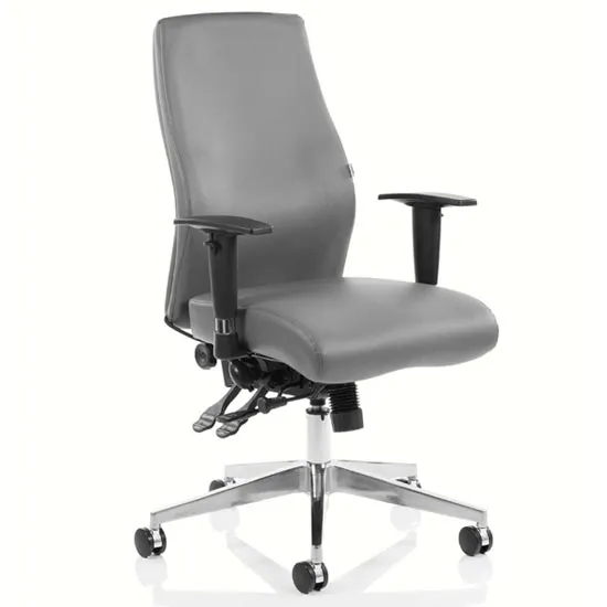 Onyx Ergo Leather Posture Office Chair In Grey With Arms