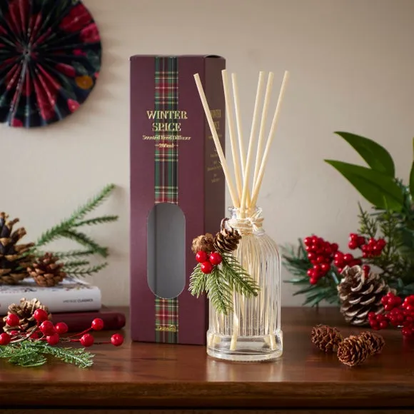 Winter Spice Diffuser