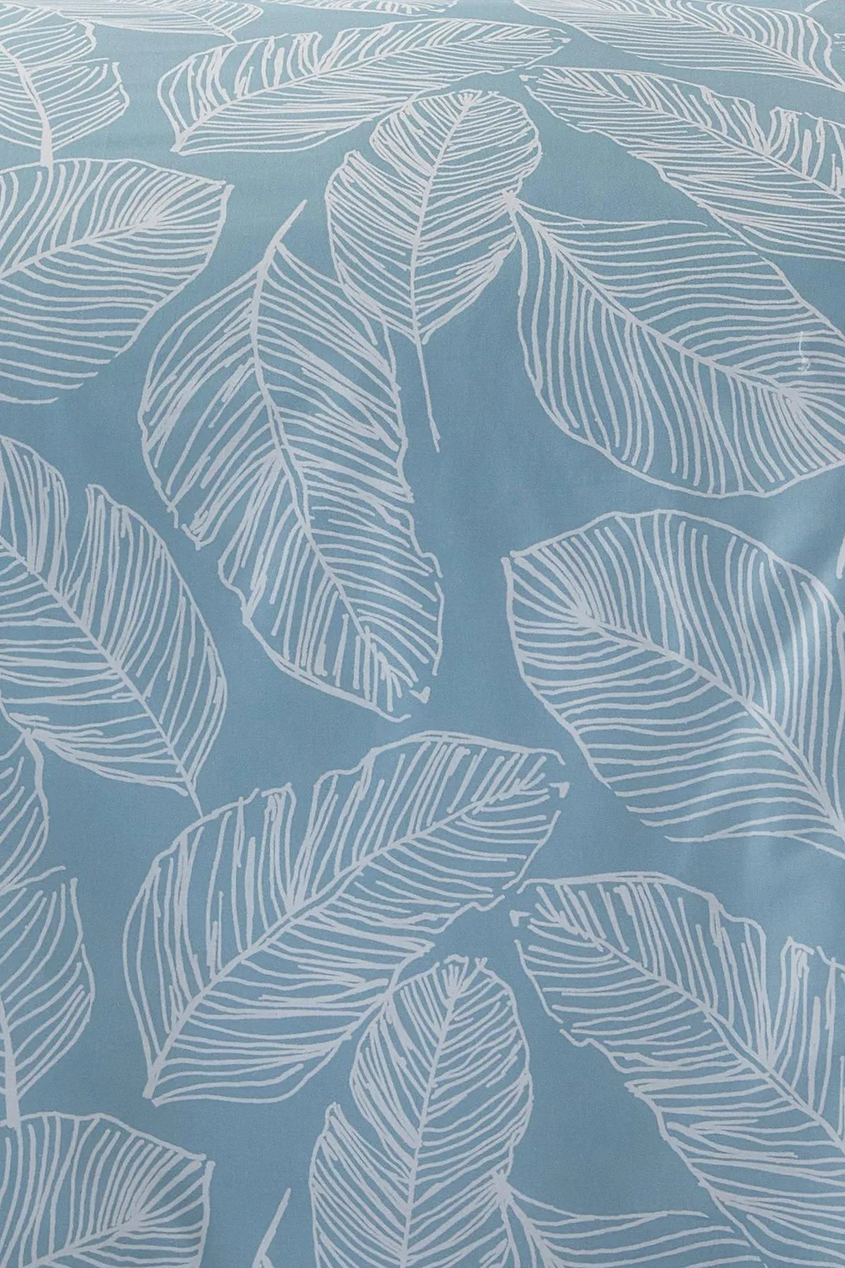 Fusion 'Matteo' Botanical Print Duvet Cover Set in Duck Egg Blue 3