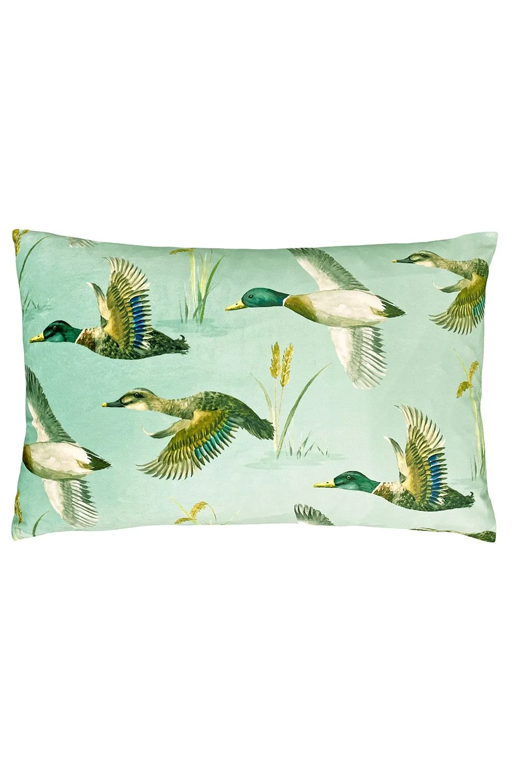 Evans Lichfield Country Duck Pond Hand-Painted Printed Cushion in Mint