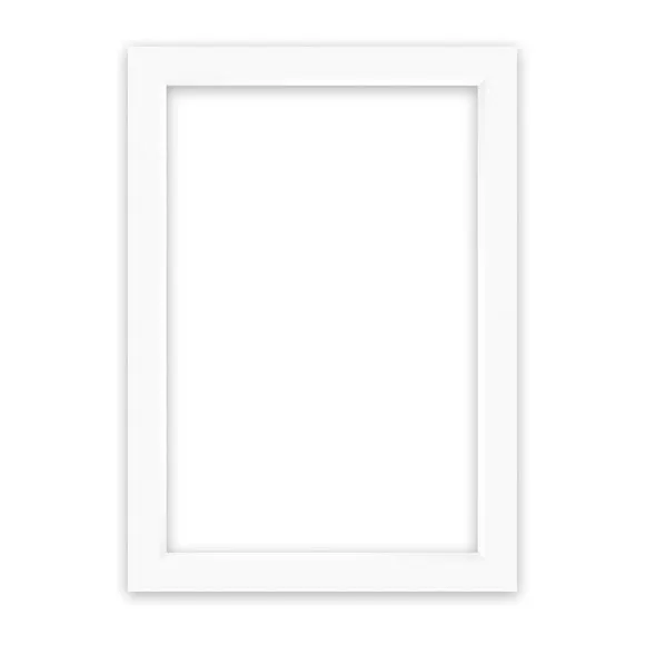 Nielsen Conservation White Picture Mount 1