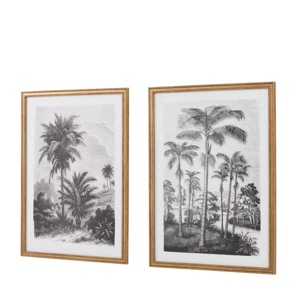 Cedar and Sage Set of 2 Palm Drawing Framed Prints 5