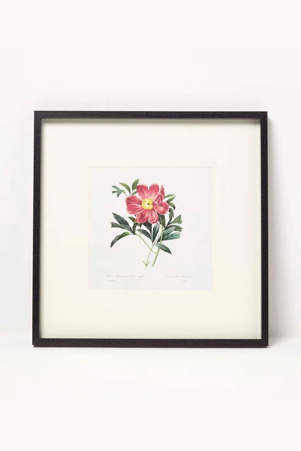 Homescapes Wall Decoration Set of 3 Frames with Picture, Peonies 4