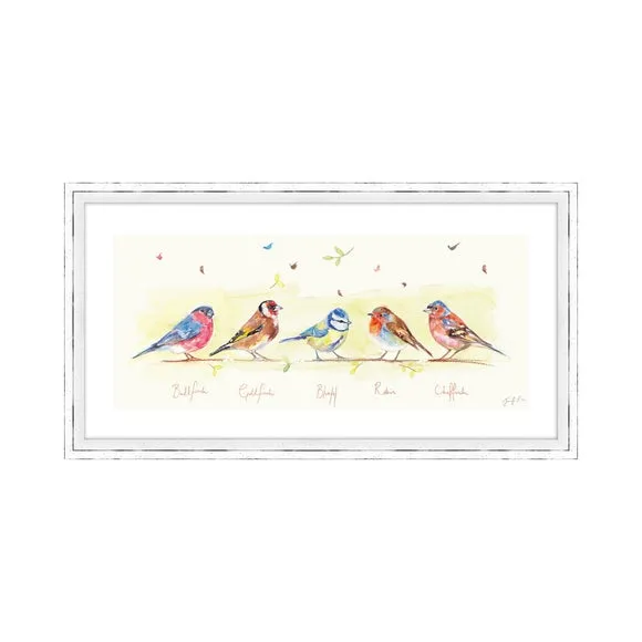 The Art Group Line Of Garden Birds Framed Print 2