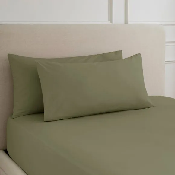 Hotel 230 Thread Count 100% Cotton Percale Large Standard Pillowcase Pair
