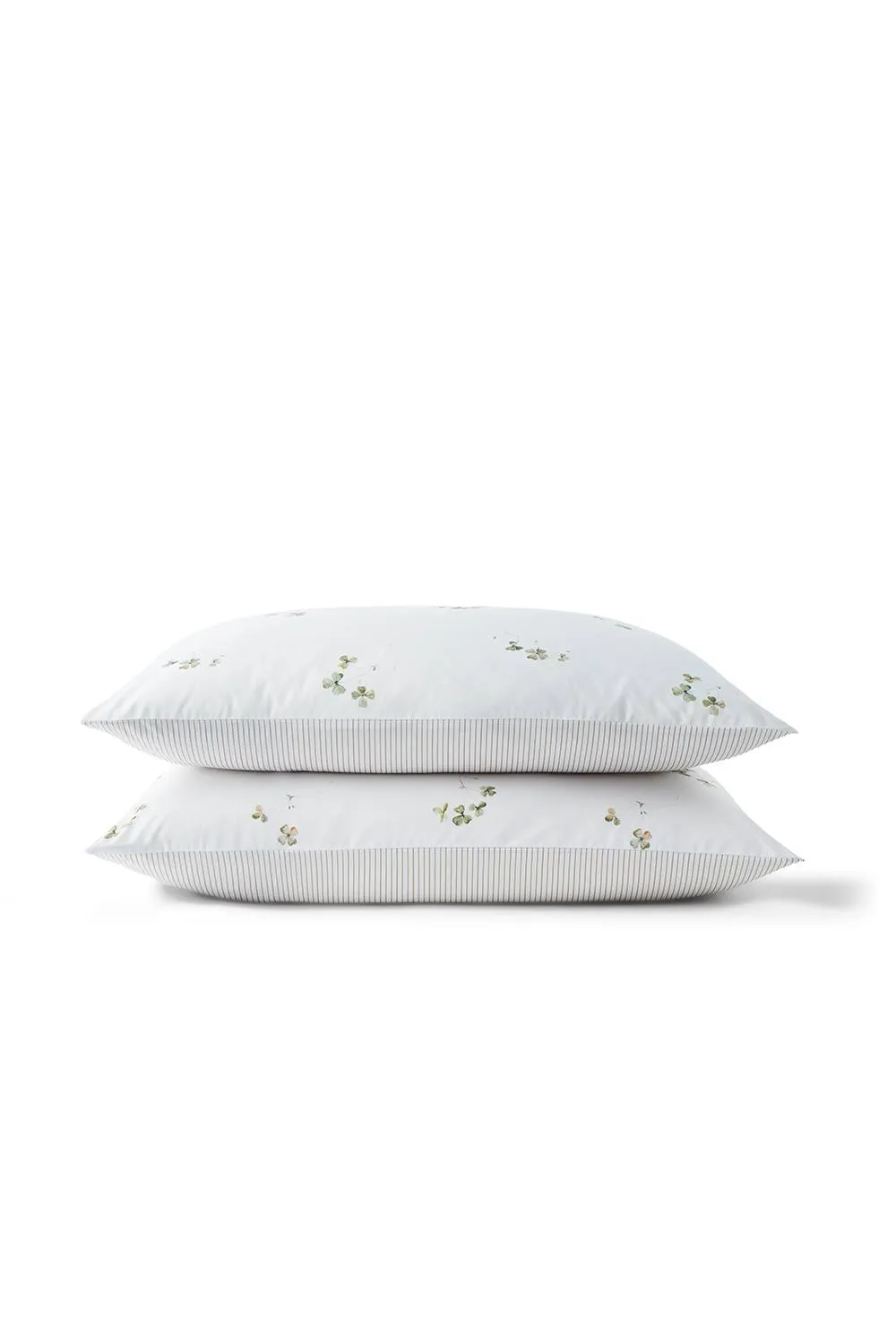 CHRISTY 'Clover' Romantic Floral Cotton Percale Standard Pillowcase Pair in White 2