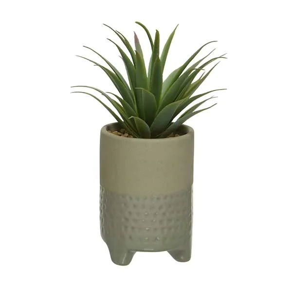 Medium Beige Pot Plant