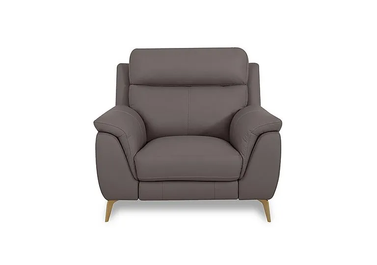 Eclipse Leather Chair - Elephant