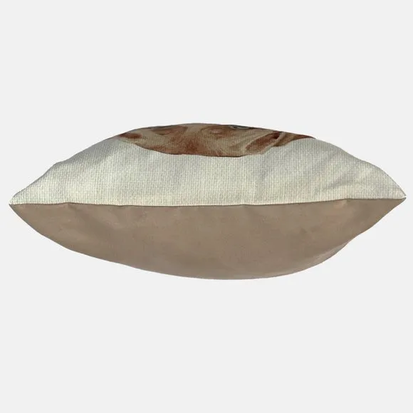 Christine Varley Fox Red Labrador Square Cushion 3