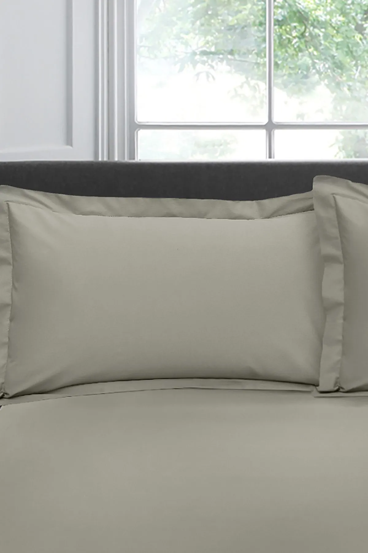 Appletree 'Premium 200TC Plain Dye' Hotel Quality 100% Percale Cotton Oxford Pillowcases (Pair) in Silver 1