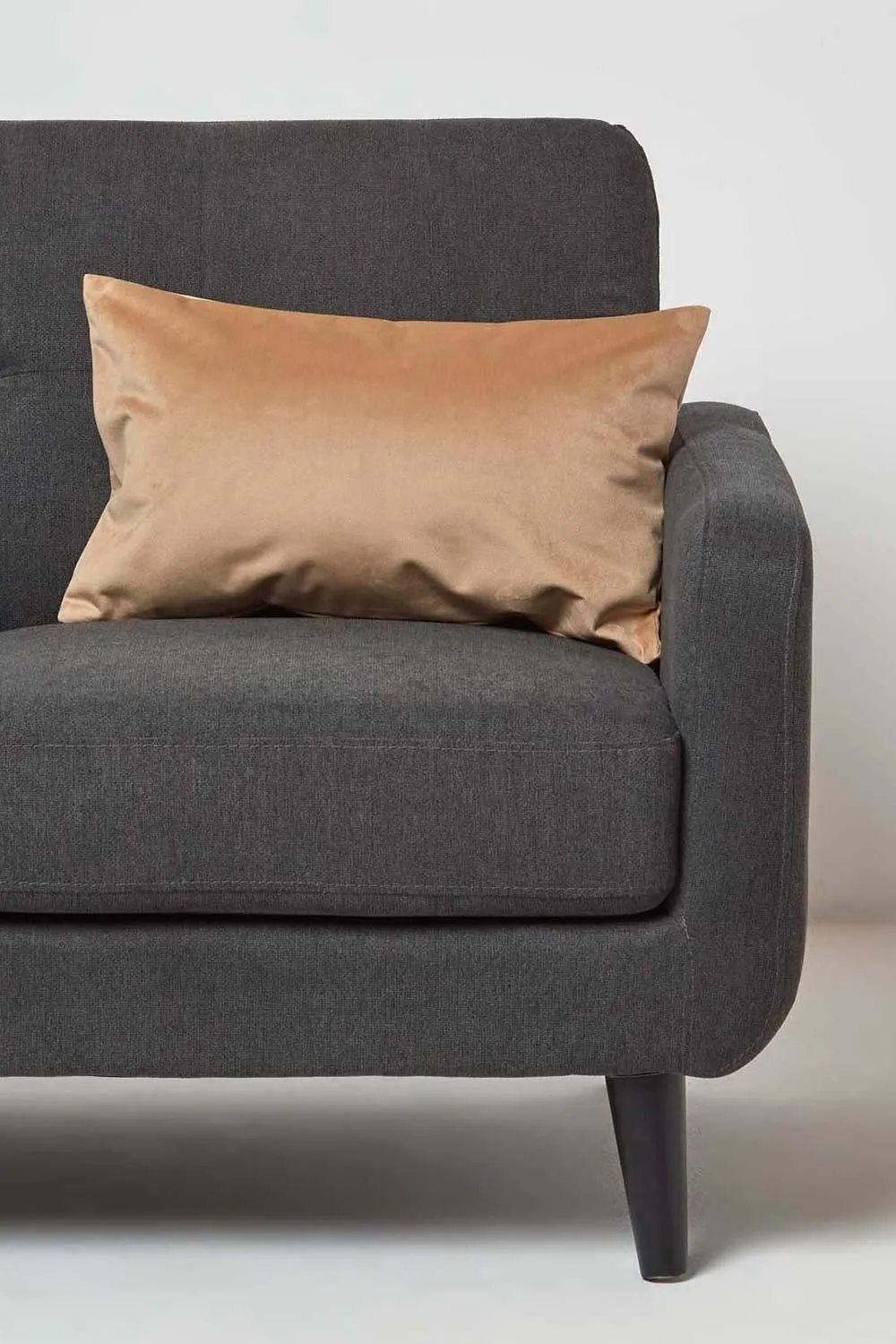 Homescapes Luxury Soft Velvet Cushion in Beige 2