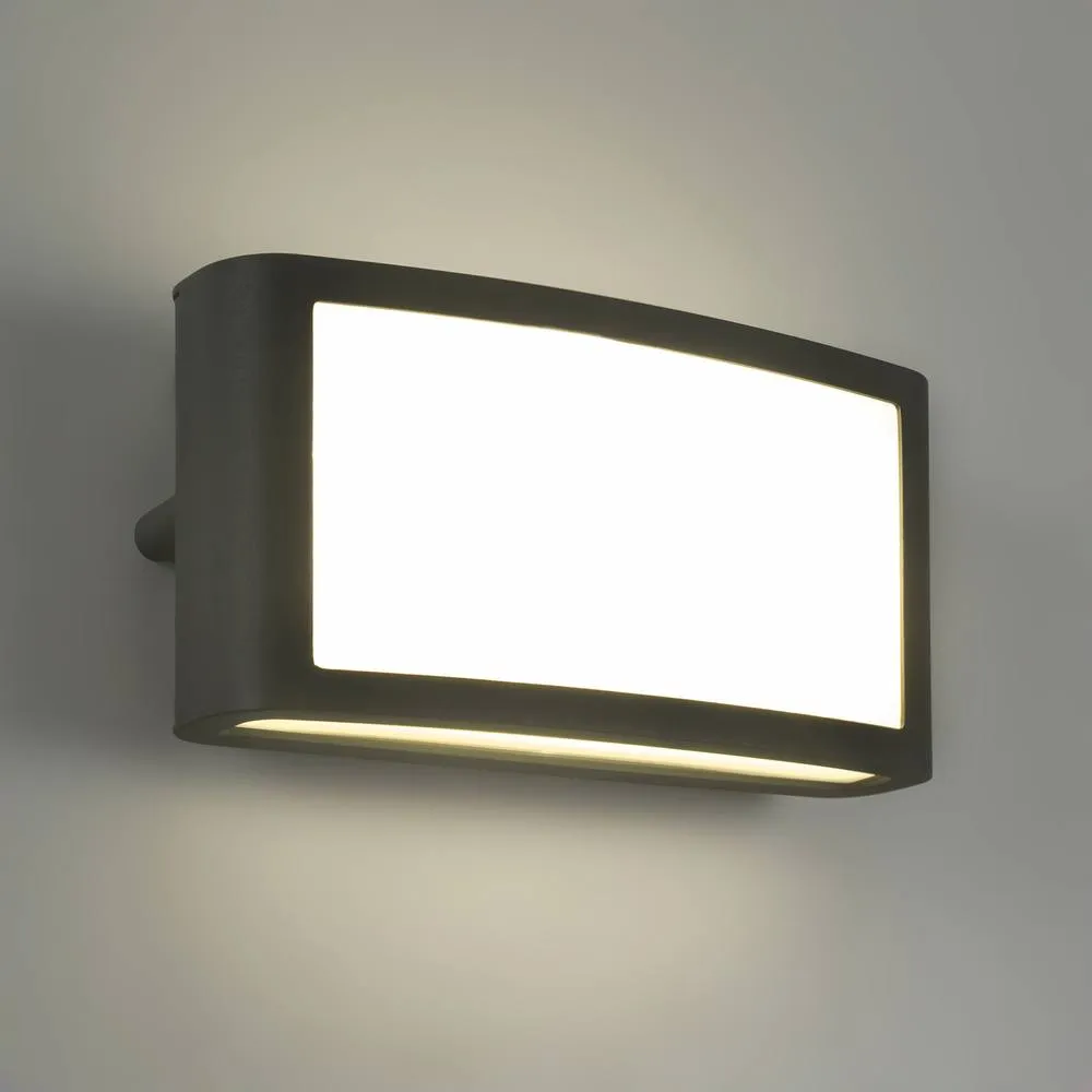 Netlighting Zenitha Diffuser Outdoor Flush Wall Lamp Black LED 12W IP54 On Off 3