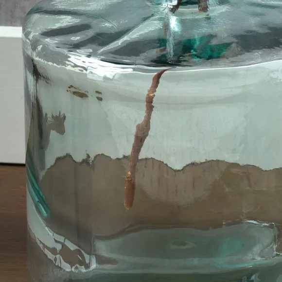 Clear Glass Bottle Vase 4