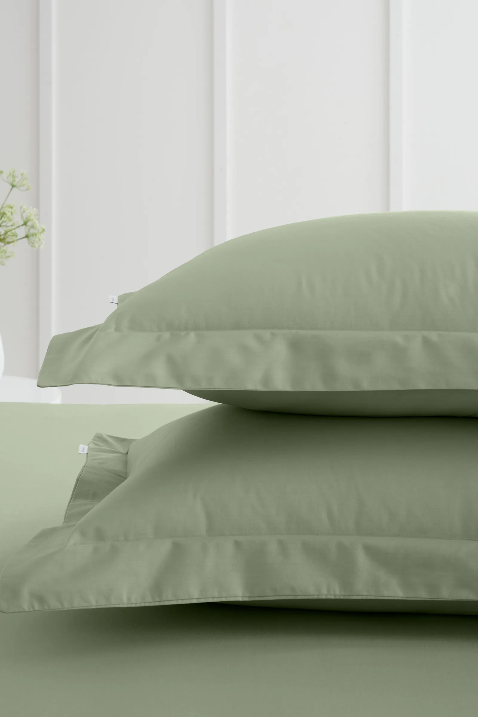 Bianca '200 Thread Count Cotton Percale' Oxford Pillowcases in Green 2