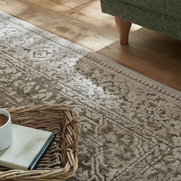 Maia Traditional Distressed Rug 6