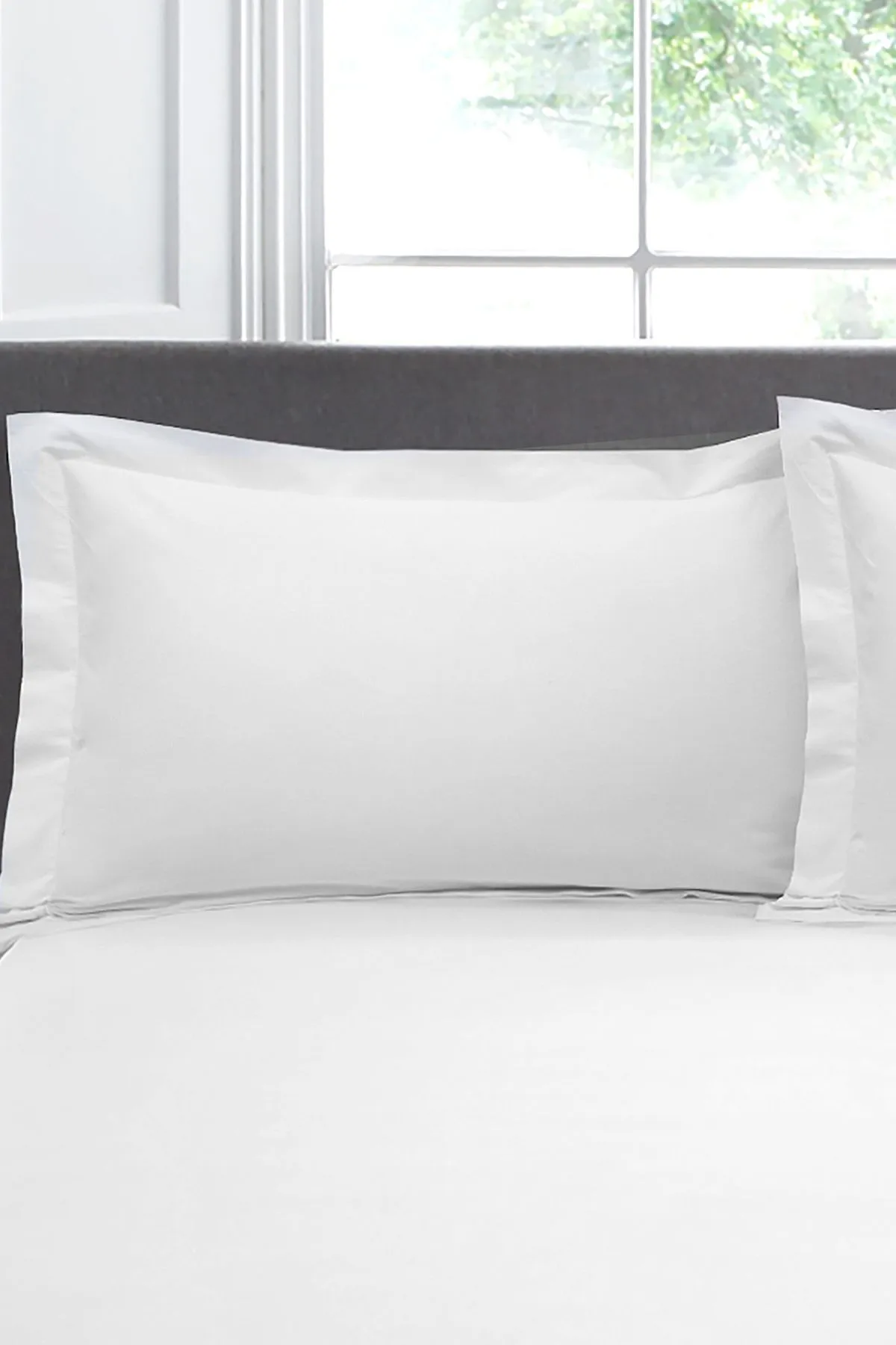 Appletree 'Premium 200TC Plain Dye' Hotel Quality 100% Percale Cotton Oxford Pillowcases (Pair) in White 1