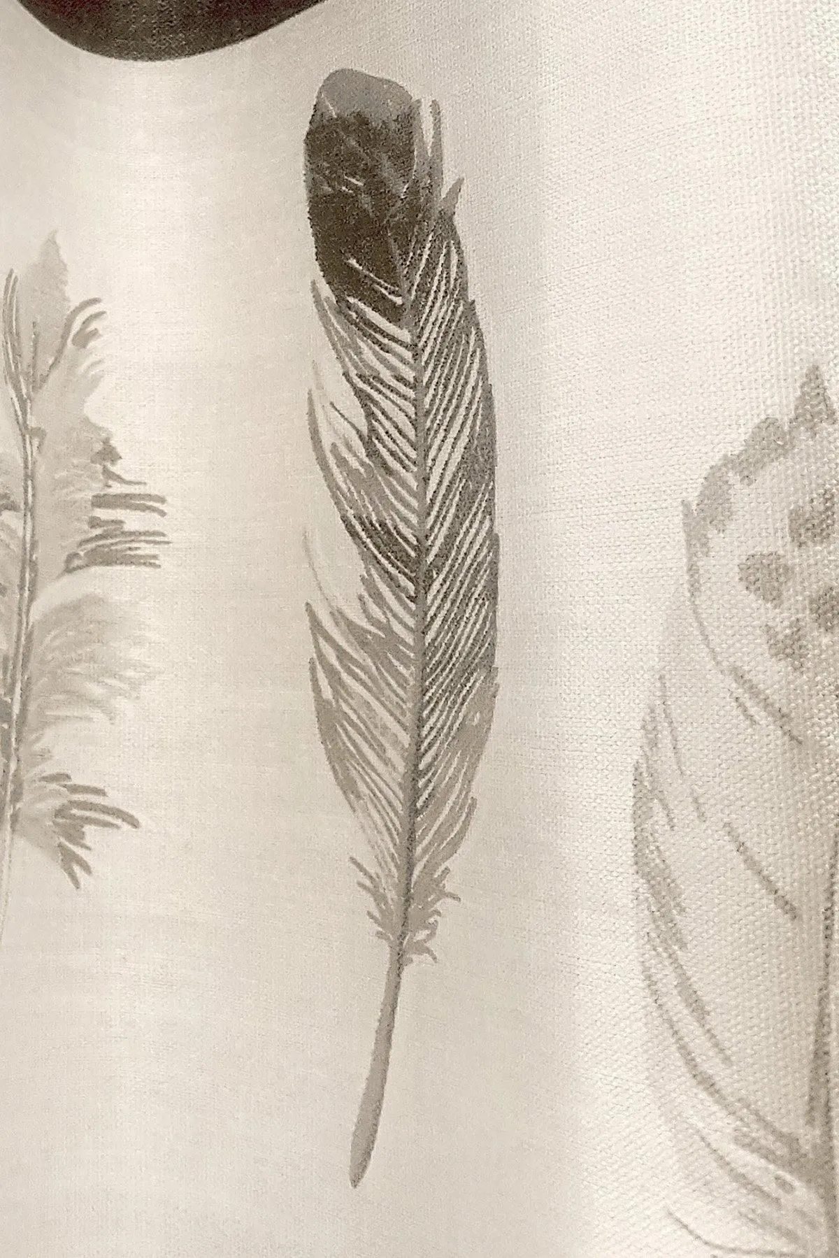 Fusion 'Idaho' 100% Cotton Feather Motif Pair of Eyelet Curtains in Charcoal 3