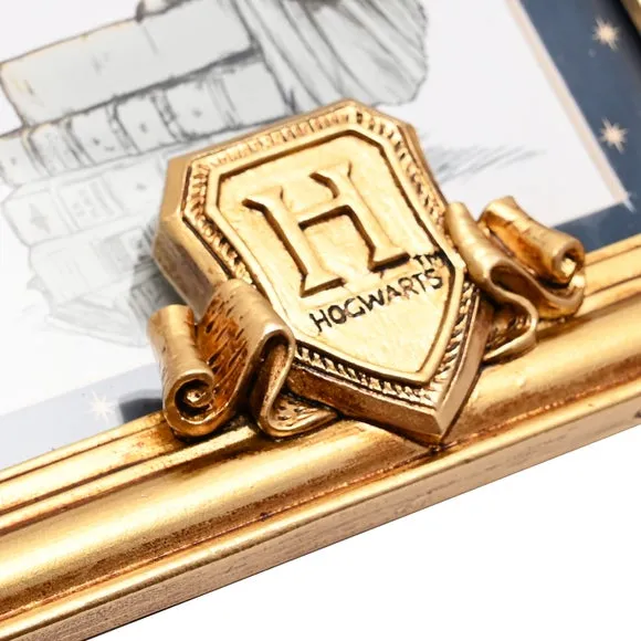 Harry Potter Hedwig Photo Frame 4