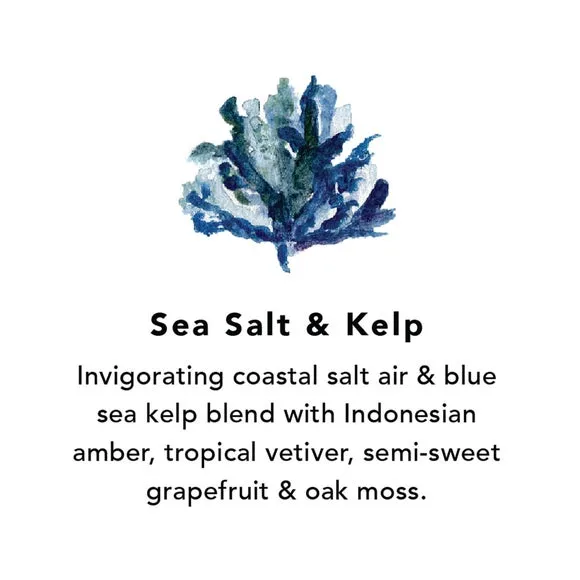 Northern Lights Set of 6 Sea Salt and Kelp Votive Candles 2