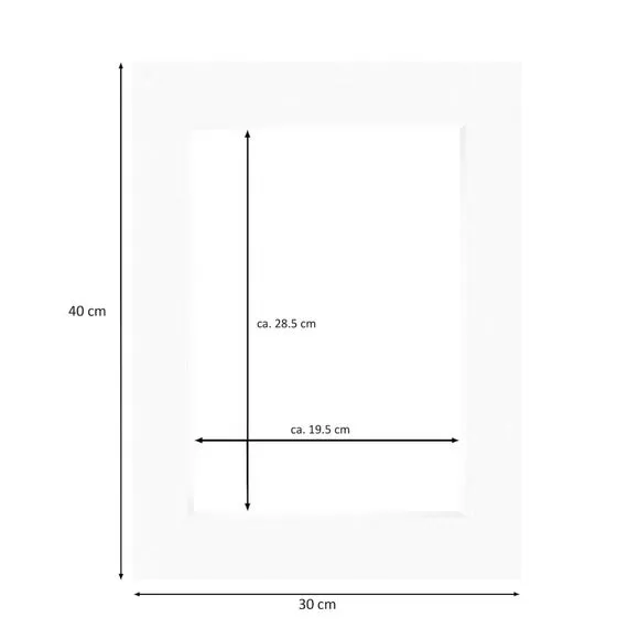 Nielsen Conservation White Picture Mount 2