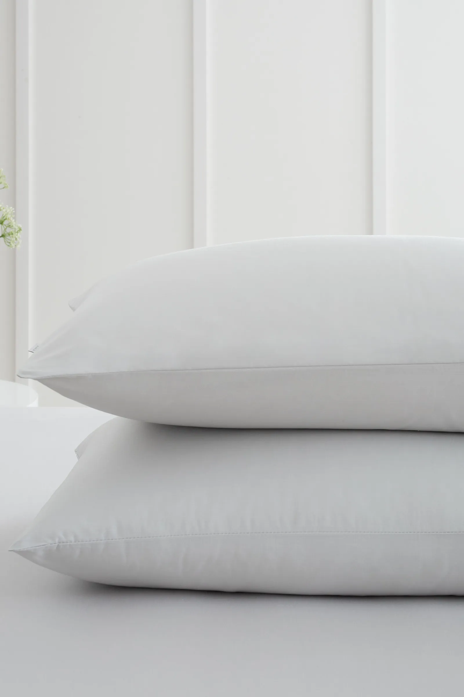 Bianca '200 Thread Count Cotton Percale' Standard Pillowcase Pair in Grey 2
