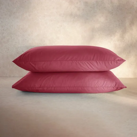 100% Egyptian Cotton 220 Thread Count Standard Pillowcase Pair 5