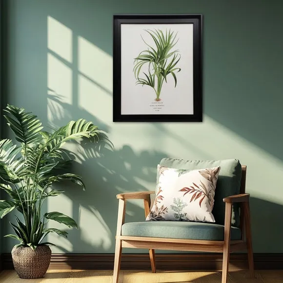 Curly Palm by Piddix Framed Print