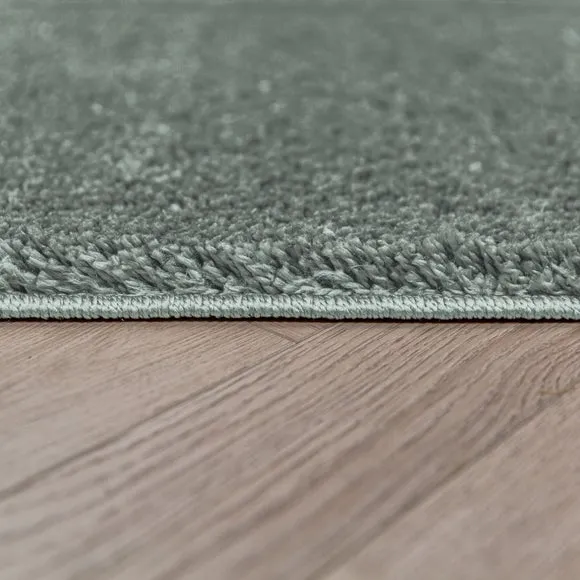 Sheen Shaggy Rug 4