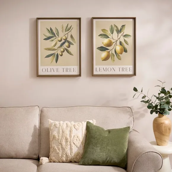 Set Of 2 Olive & Lemon Tree Framed Prints