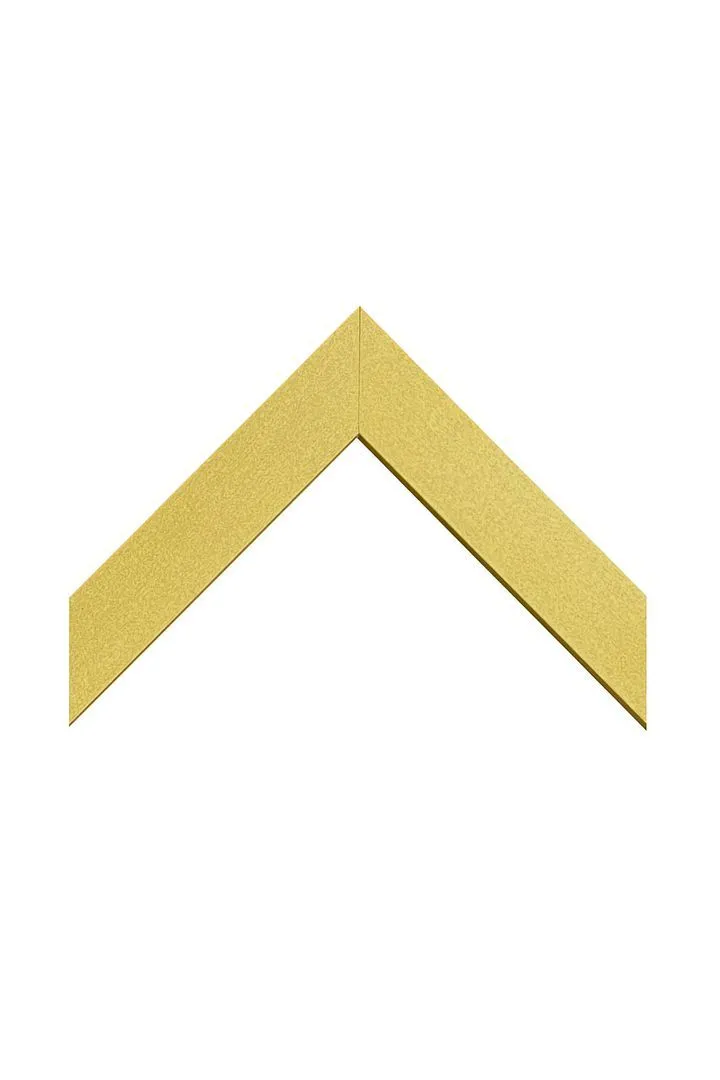 Frames by Post Metro Photo Frame A2 in Gold 2