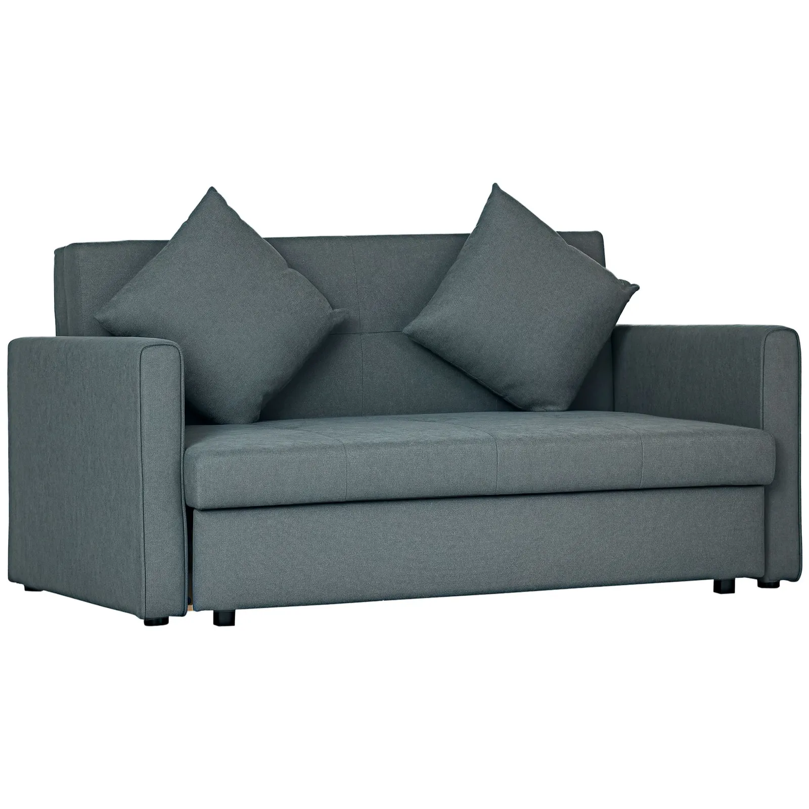 HOMCOM Convertible 2 Seater Sofa Bed with 2 Cushions Storage for Living Room in Dark Grey 2