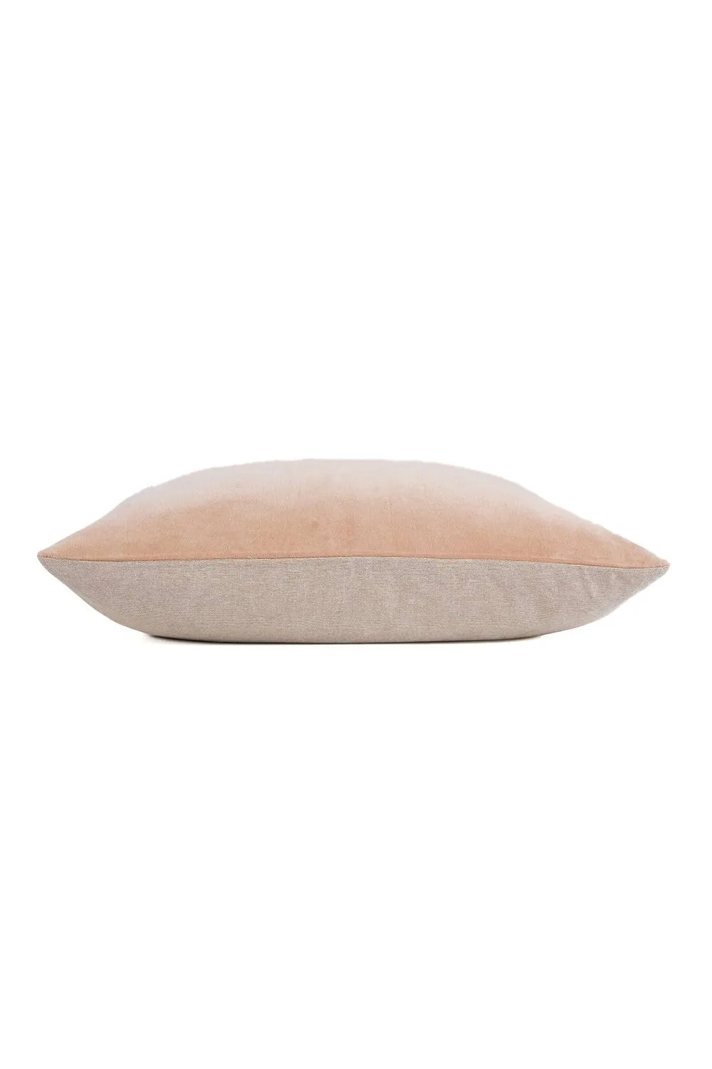 CHRISTY Luxury Filled Velvet 'Jaipur' Rectangle Cushions in Dusty Pink 3